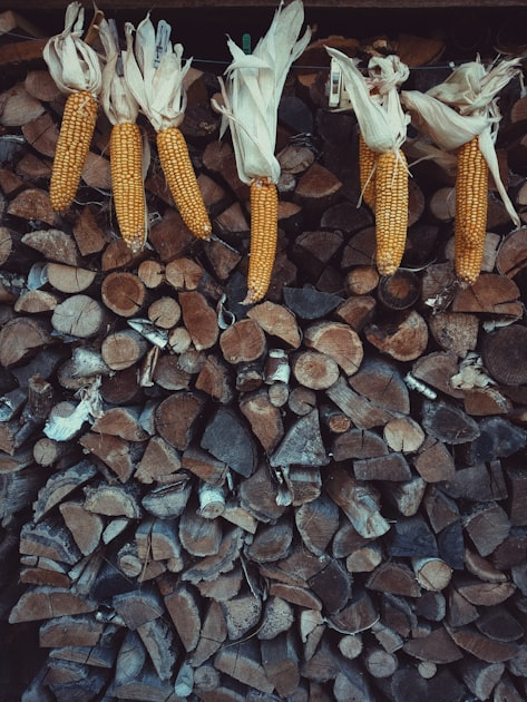 The Importance of Local Farming