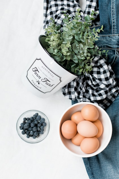 The Benefits of Fresh Eggs